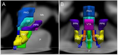 The Brainstem in Emotion: A Review